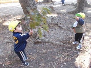 image6.jpeg
